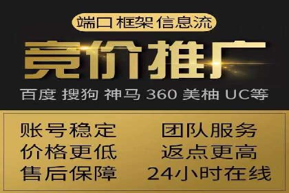 百度竞价赚钱攻略：实战案例分享